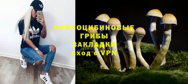 гашик Абаза