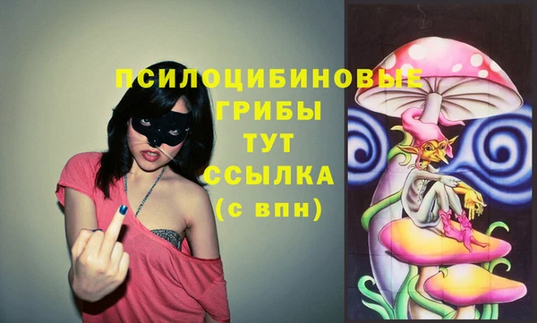 гашик Абаза